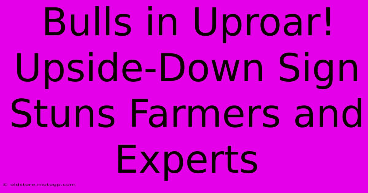 Bulls In Uproar! Upside-Down Sign Stuns Farmers And Experts