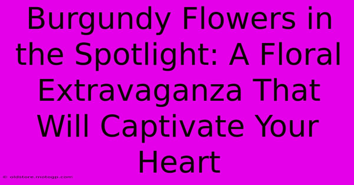 Burgundy Flowers In The Spotlight: A Floral Extravaganza That Will Captivate Your Heart