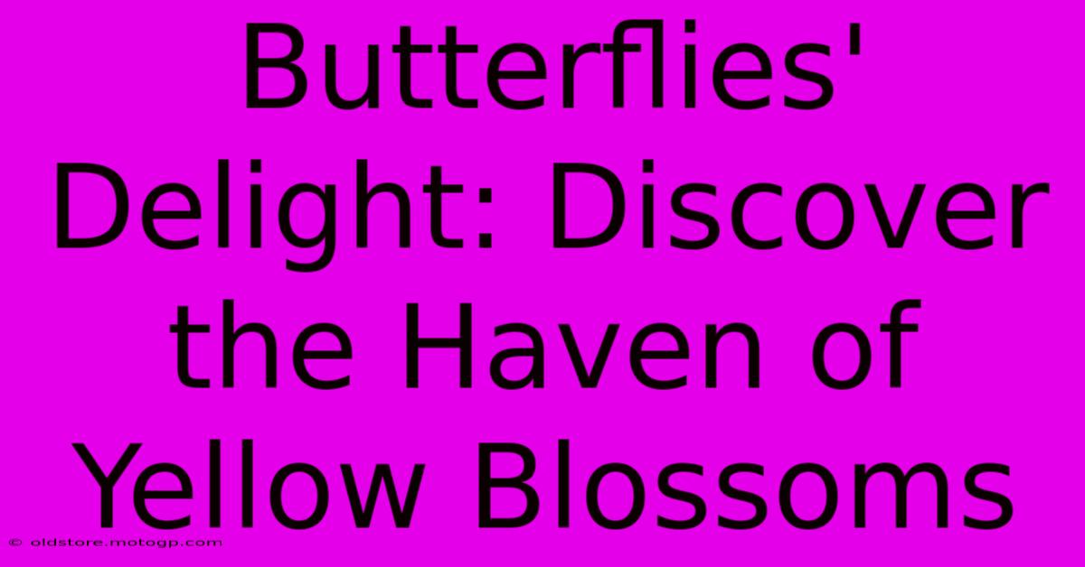 Butterflies' Delight: Discover The Haven Of Yellow Blossoms