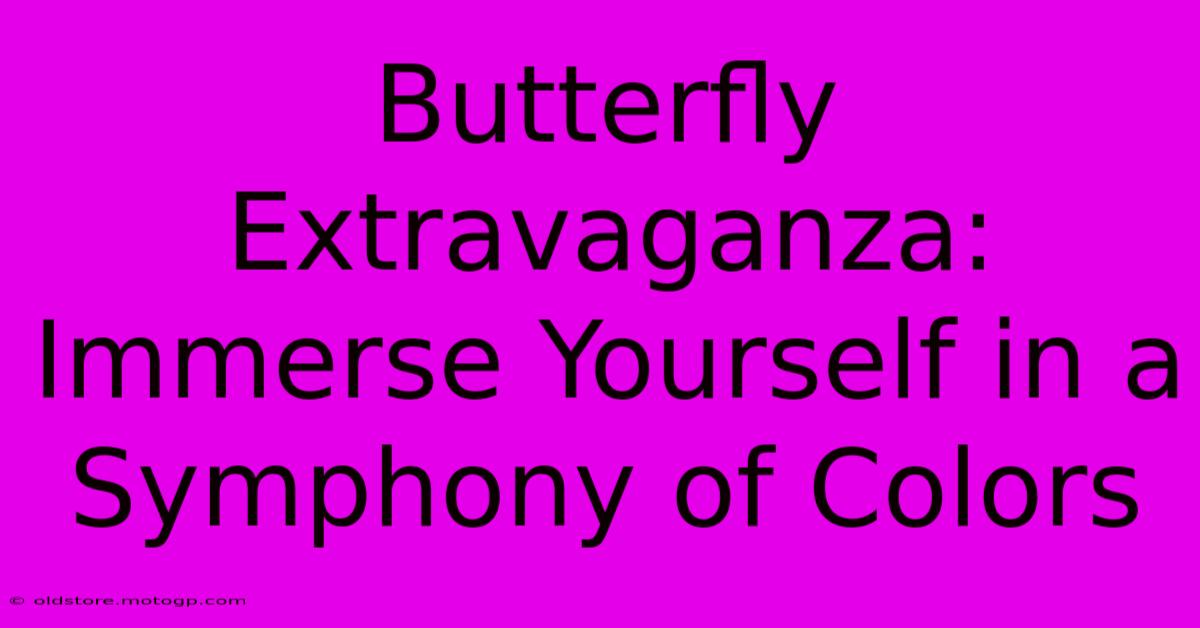 Butterfly Extravaganza: Immerse Yourself In A Symphony Of Colors