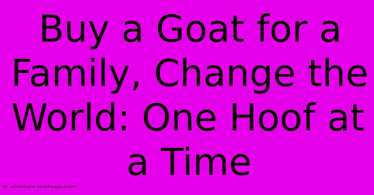 Buy A Goat For A Family, Change The World: One Hoof At A Time