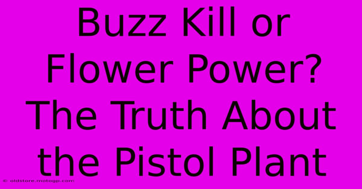 Buzz Kill Or Flower Power? The Truth About The Pistol Plant