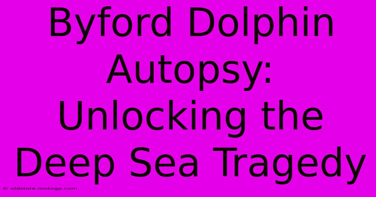 Byford Dolphin Autopsy: Unlocking The Deep Sea Tragedy