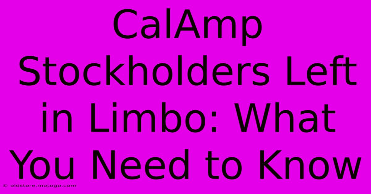 CalAmp Stockholders Left In Limbo: What You Need To Know