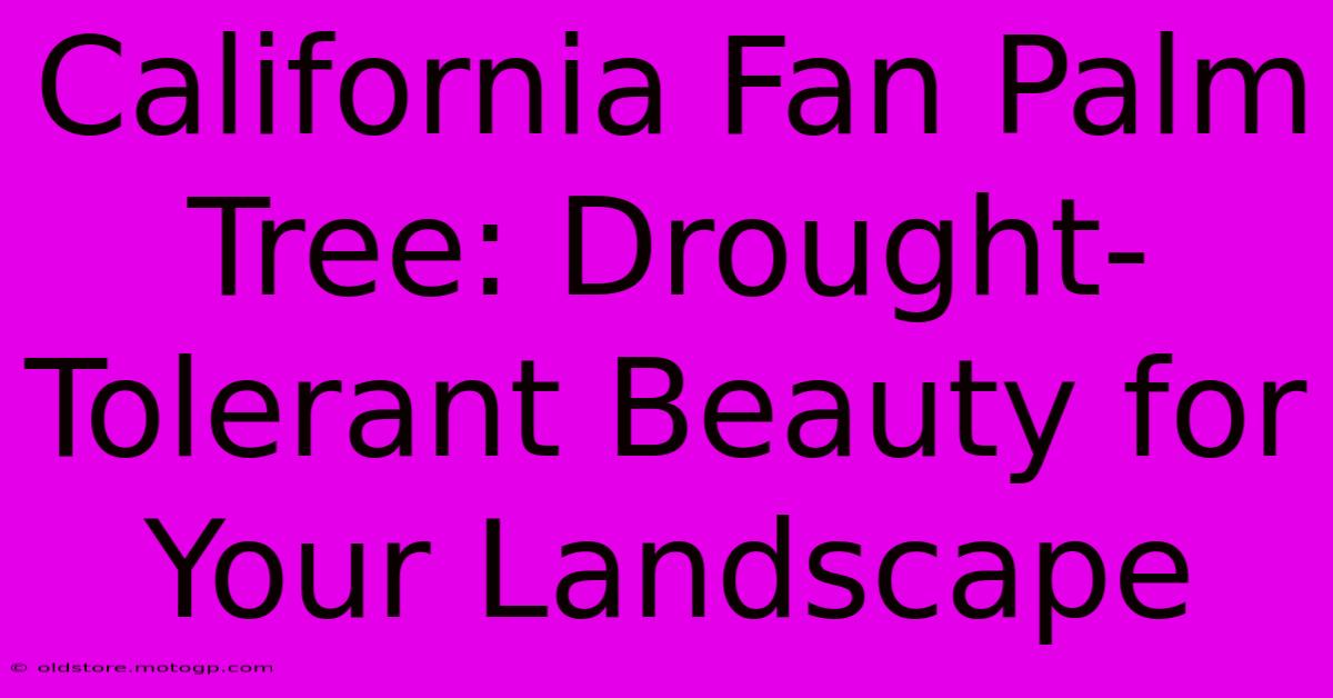 California Fan Palm Tree: Drought-Tolerant Beauty For Your Landscape