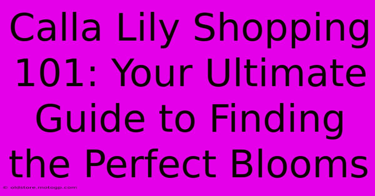 Calla Lily Shopping 101: Your Ultimate Guide To Finding The Perfect Blooms