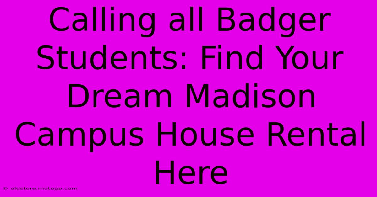 Calling All Badger Students: Find Your Dream Madison Campus House Rental Here