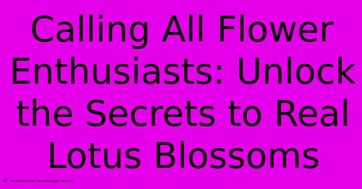 Calling All Flower Enthusiasts: Unlock The Secrets To Real Lotus Blossoms