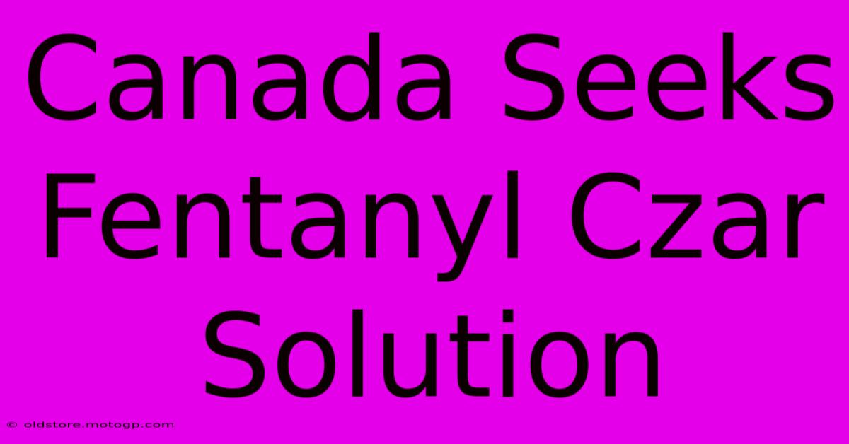 Canada Seeks Fentanyl Czar Solution