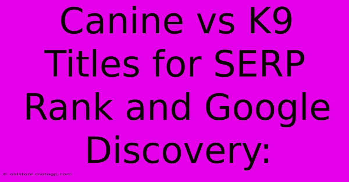 Canine Vs K9 Titles For SERP Rank And Google Discovery: