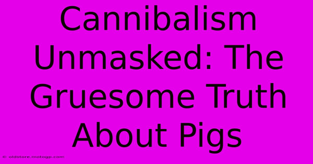 Cannibalism Unmasked: The Gruesome Truth About Pigs