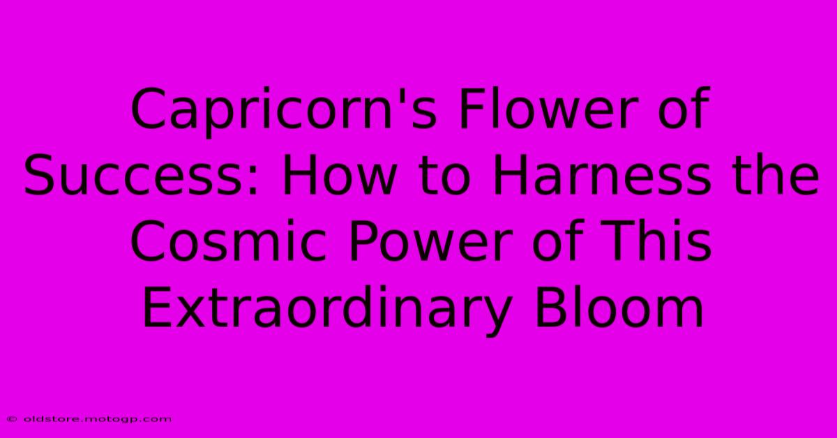 Capricorn's Flower Of Success: How To Harness The Cosmic Power Of This Extraordinary Bloom