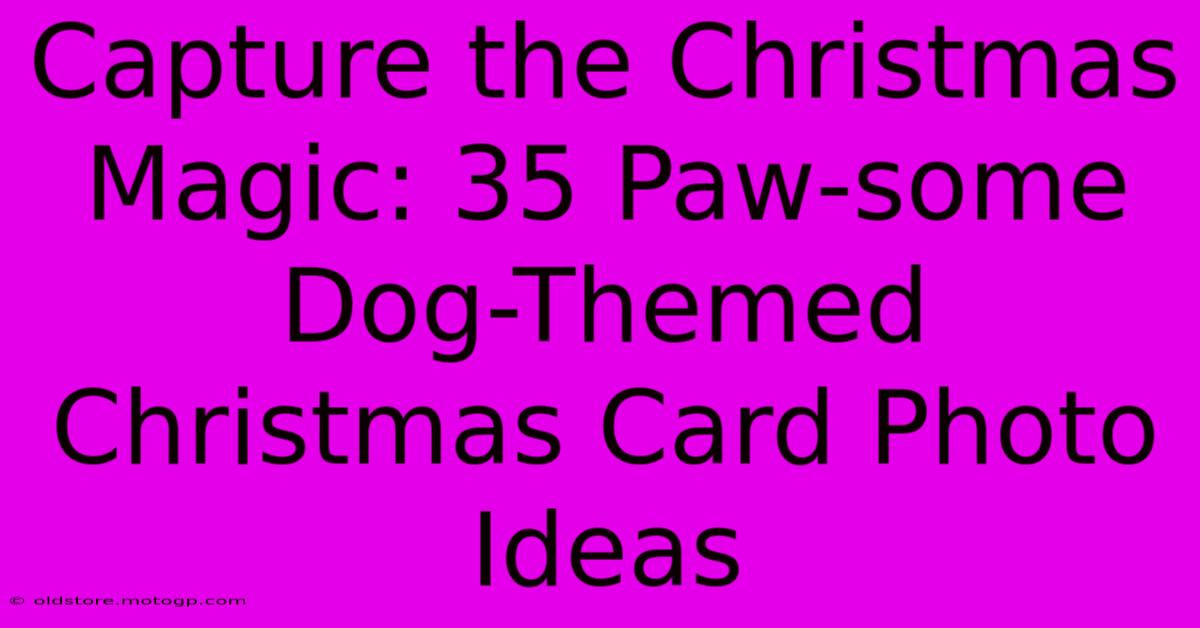 Capture The Christmas Magic: 35 Paw-some Dog-Themed Christmas Card Photo Ideas