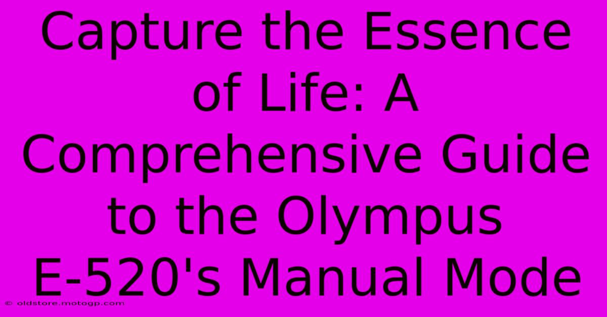 Capture The Essence Of Life: A Comprehensive Guide To The Olympus E-520's Manual Mode