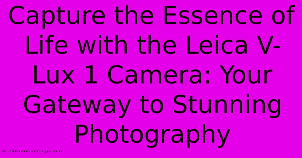 Capture The Essence Of Life With The Leica V-Lux 1 Camera: Your Gateway To Stunning Photography