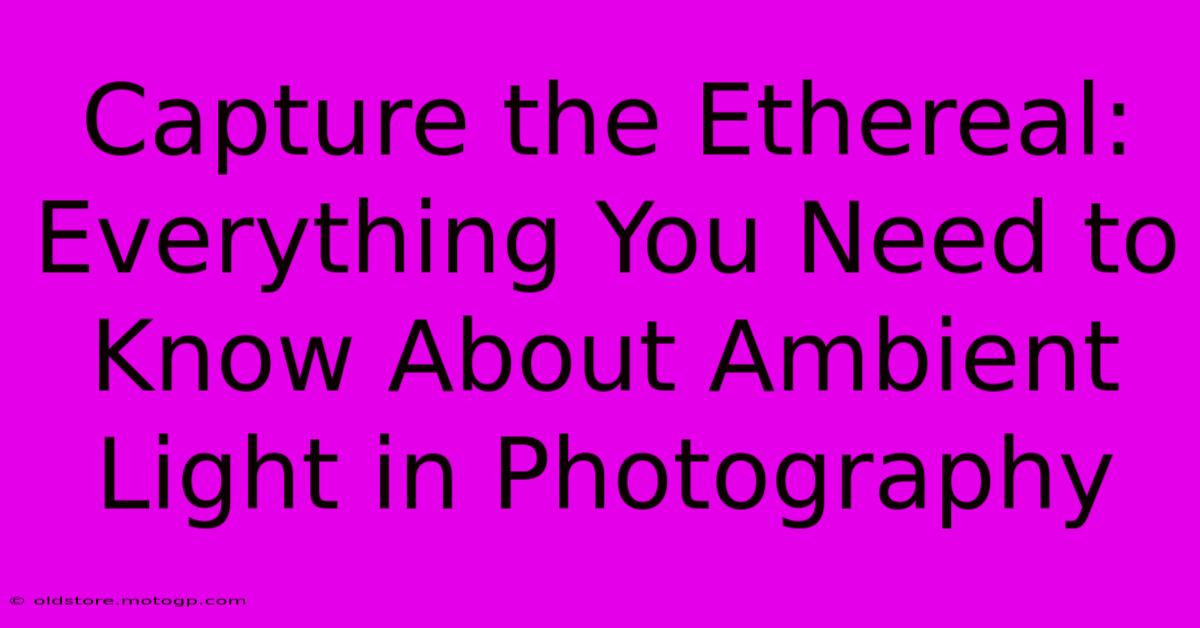 Capture The Ethereal: Everything You Need To Know About Ambient Light In Photography