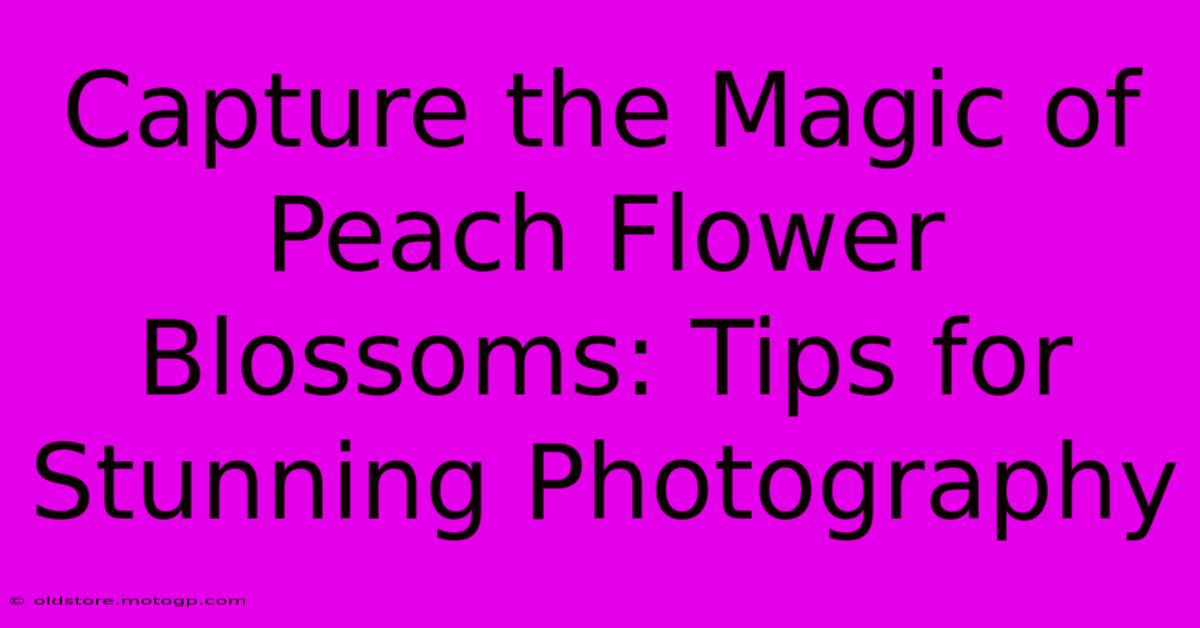 Capture The Magic Of Peach Flower Blossoms: Tips For Stunning Photography