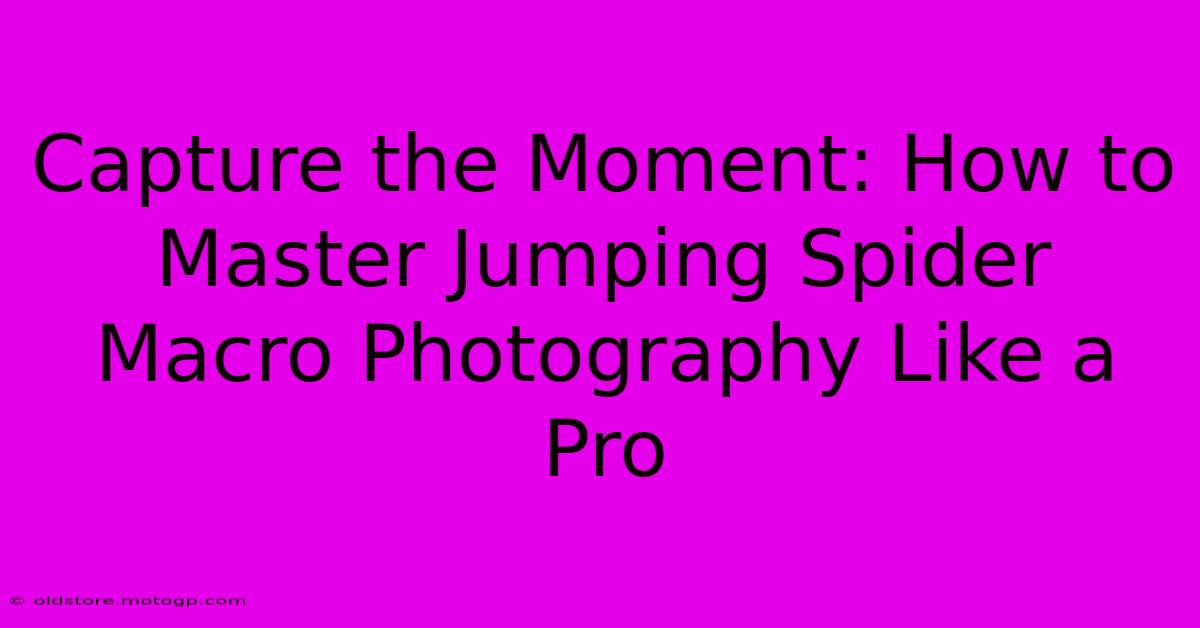 Capture The Moment: How To Master Jumping Spider Macro Photography Like A Pro