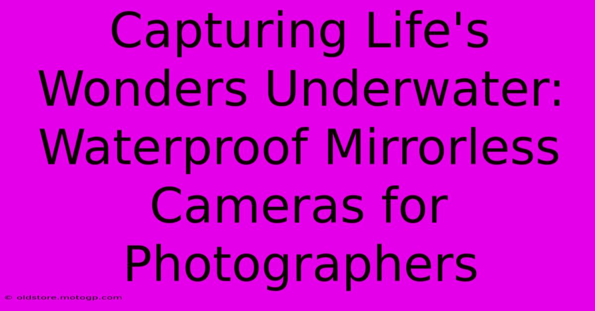 Capturing Life's Wonders Underwater: Waterproof Mirrorless Cameras For Photographers