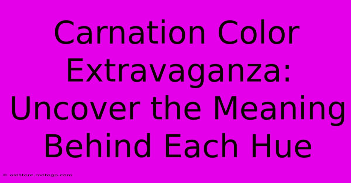 Carnation Color Extravaganza: Uncover The Meaning Behind Each Hue