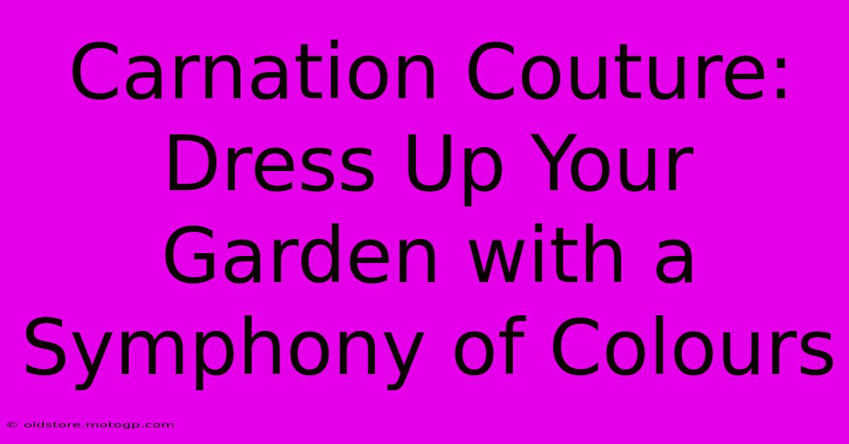 Carnation Couture: Dress Up Your Garden With A Symphony Of Colours