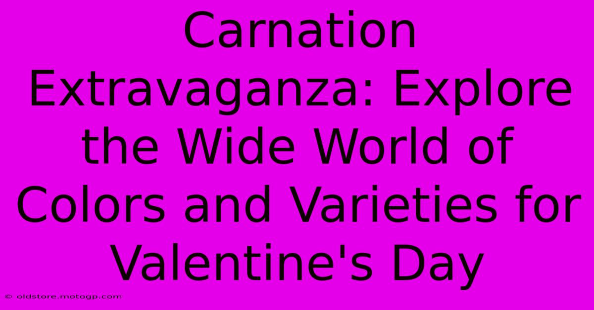 Carnation Extravaganza: Explore The Wide World Of Colors And Varieties For Valentine's Day