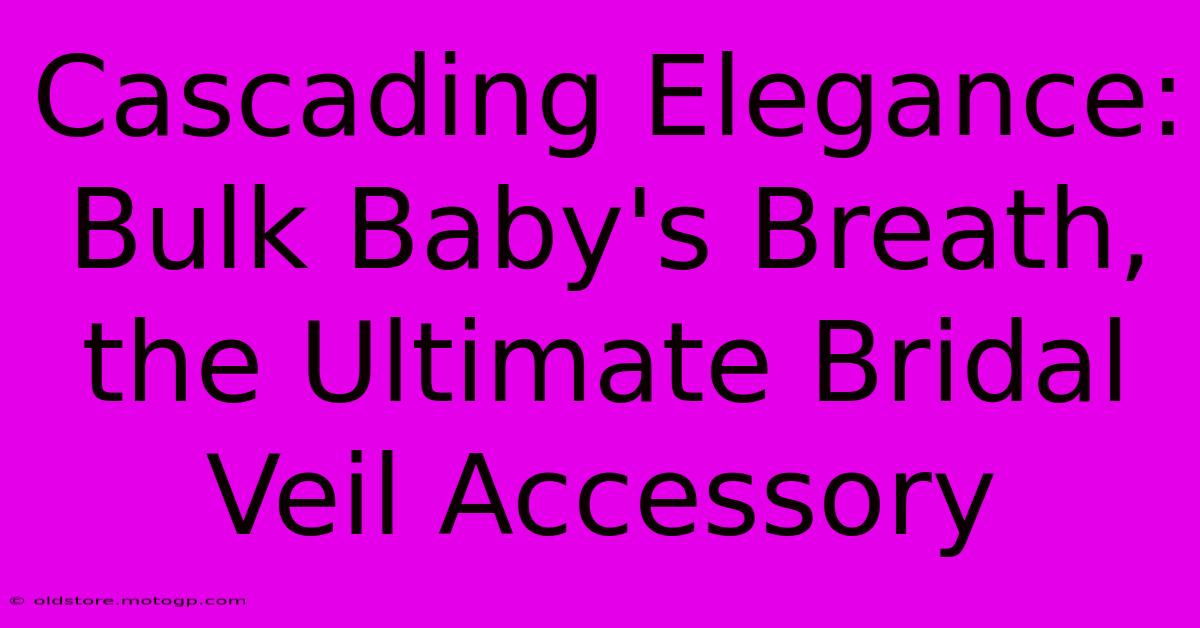 Cascading Elegance: Bulk Baby's Breath, The Ultimate Bridal Veil Accessory