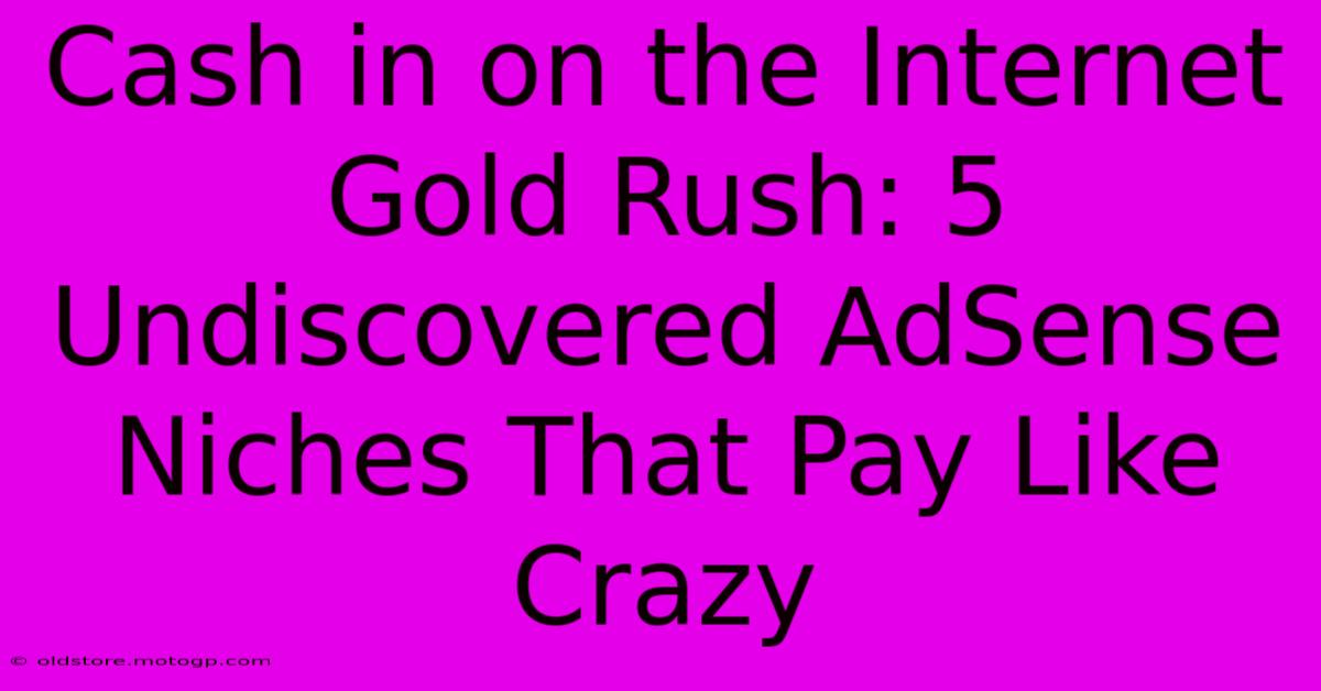 Cash In On The Internet Gold Rush: 5 Undiscovered AdSense Niches That Pay Like Crazy