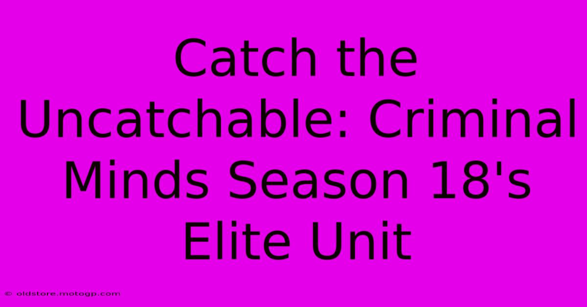 Catch The Uncatchable: Criminal Minds Season 18's Elite Unit