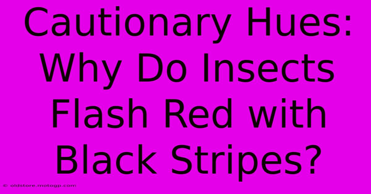 Cautionary Hues: Why Do Insects Flash Red With Black Stripes?