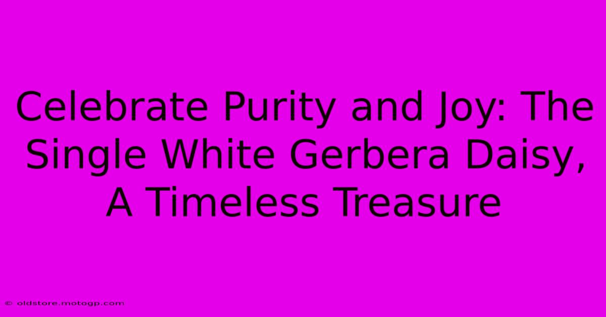 Celebrate Purity And Joy: The Single White Gerbera Daisy, A Timeless Treasure