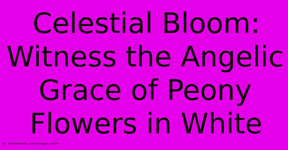 Celestial Bloom: Witness The Angelic Grace Of Peony Flowers In White