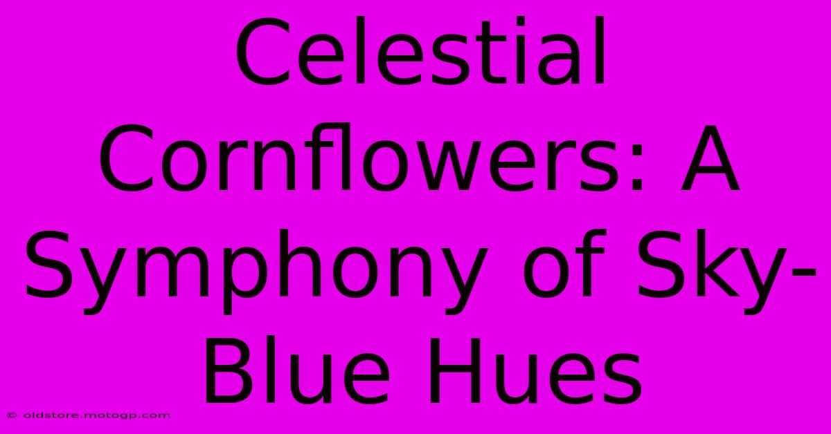 Celestial Cornflowers: A Symphony Of Sky-Blue Hues