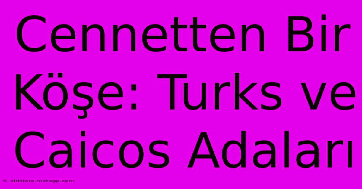 Cennetten Bir Köşe: Turks Ve Caicos Adaları