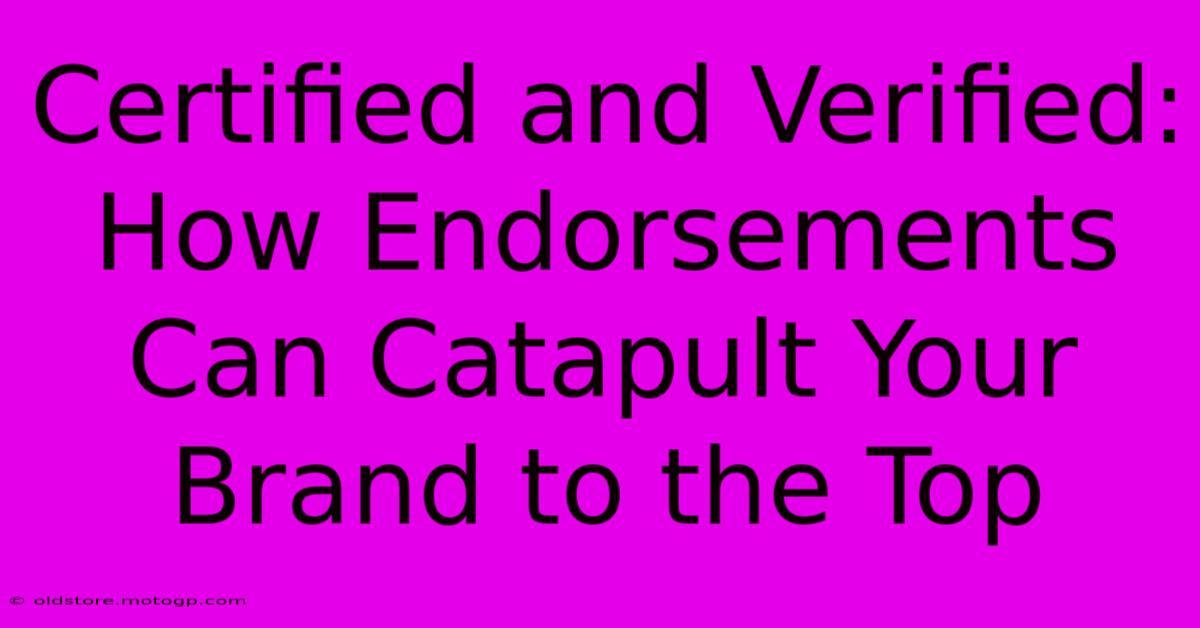 Certified And Verified: How Endorsements Can Catapult Your Brand To The Top