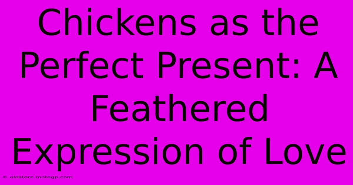 Chickens As The Perfect Present: A Feathered Expression Of Love