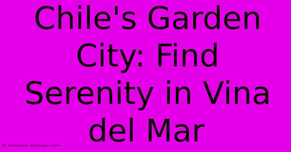 Chile's Garden City: Find Serenity In Vina Del Mar