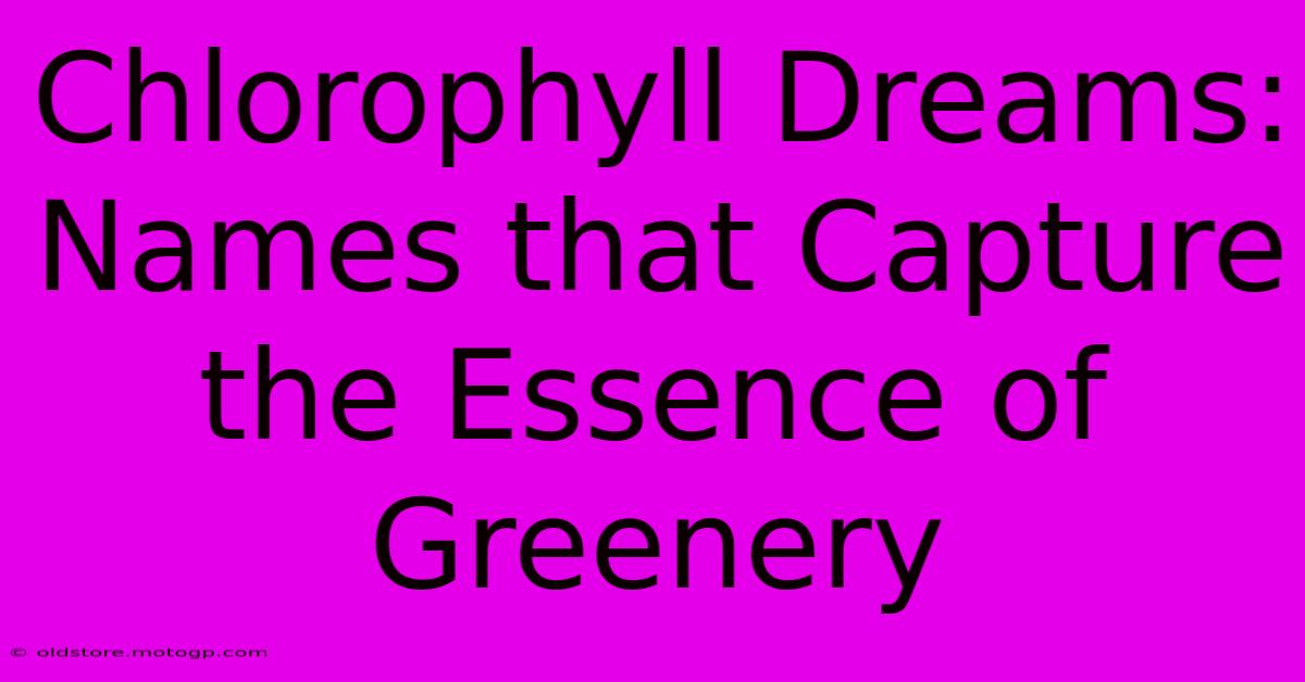 Chlorophyll Dreams: Names That Capture The Essence Of Greenery