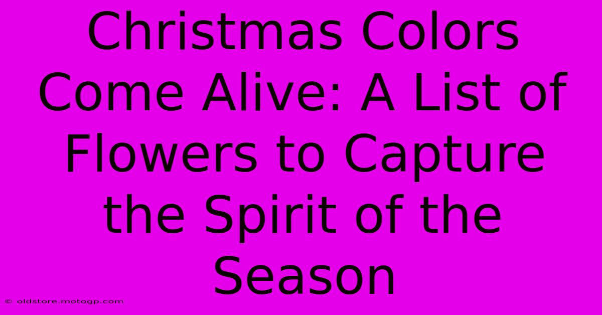 Christmas Colors Come Alive: A List Of Flowers To Capture The Spirit Of The Season