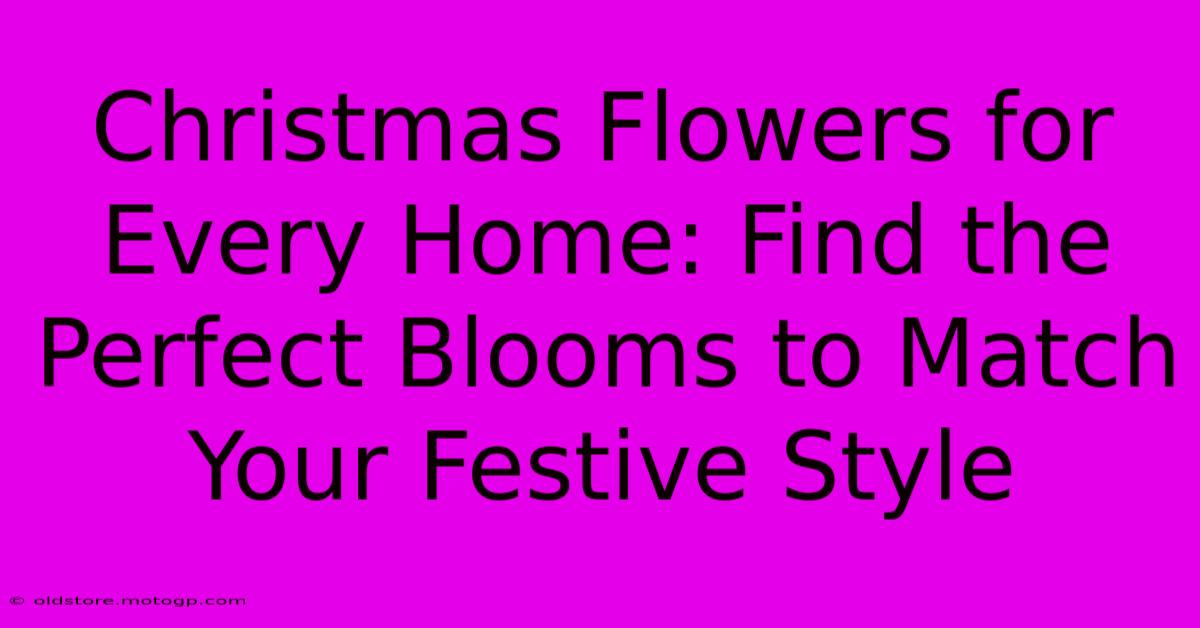 Christmas Flowers For Every Home: Find The Perfect Blooms To Match Your Festive Style