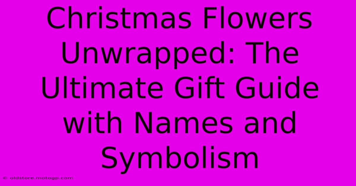 Christmas Flowers Unwrapped: The Ultimate Gift Guide With Names And Symbolism