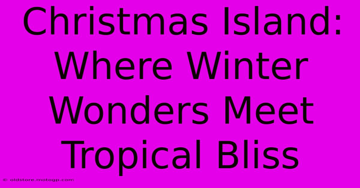 Christmas Island: Where Winter Wonders Meet Tropical Bliss