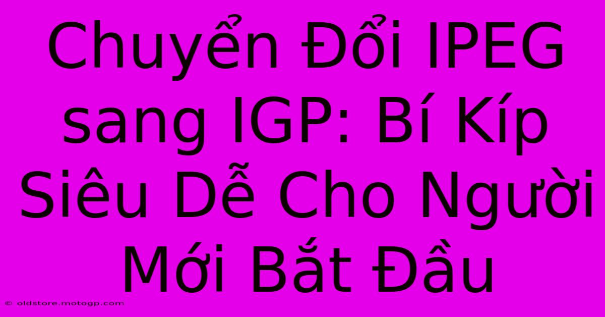 Chuyển Đổi IPEG Sang IGP: Bí Kíp Siêu Dễ Cho Người Mới Bắt Đầu