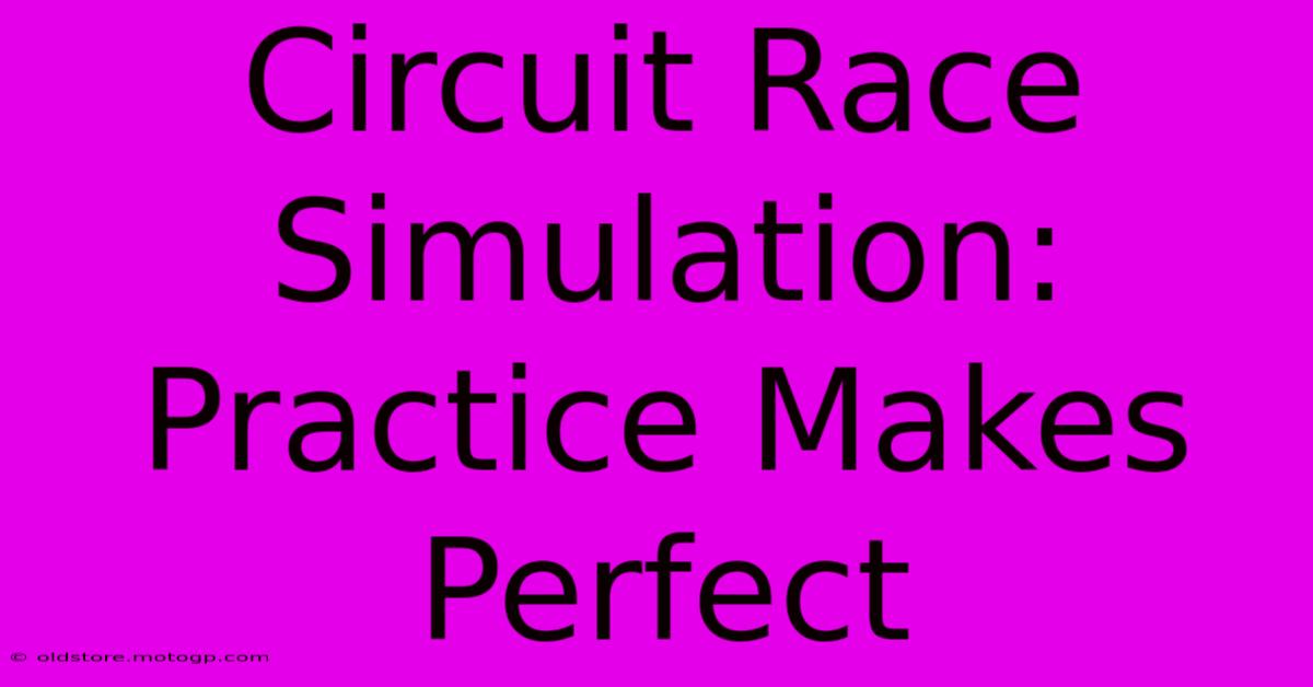 Circuit Race Simulation: Practice Makes Perfect