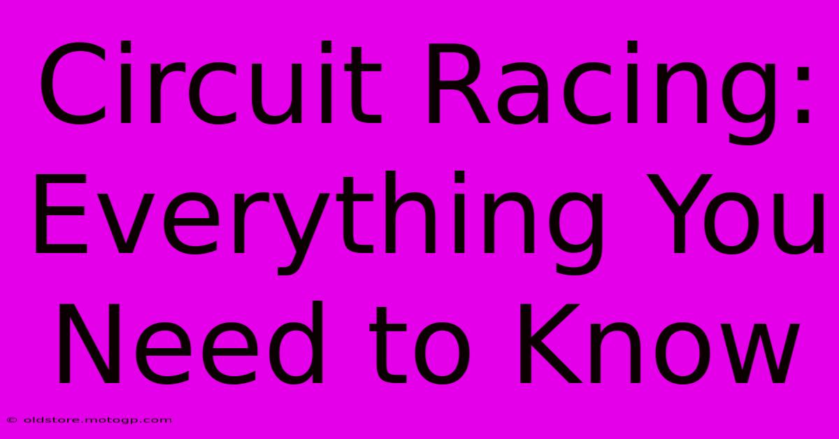 Circuit Racing: Everything You Need To Know