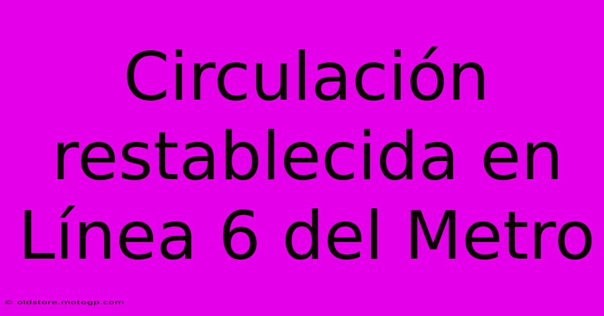 Circulación Restablecida En Línea 6 Del Metro