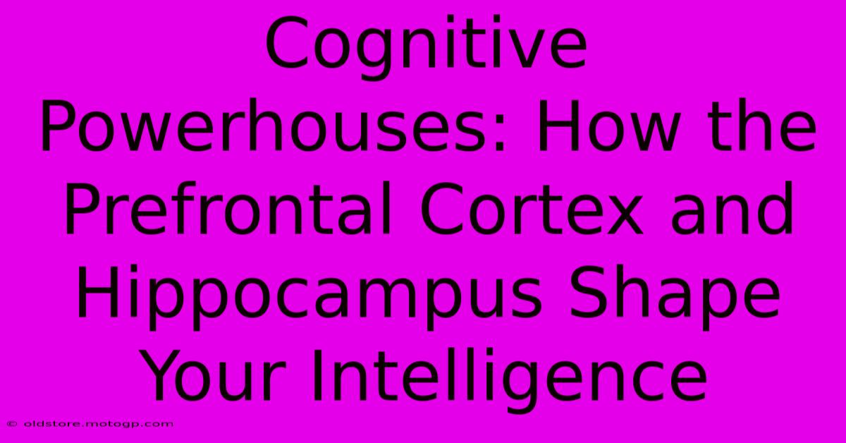 Cognitive Powerhouses: How The Prefrontal Cortex And Hippocampus Shape Your Intelligence