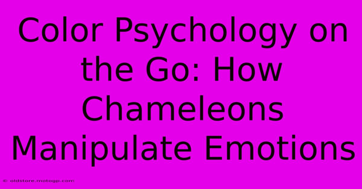 Color Psychology On The Go: How Chameleons Manipulate Emotions