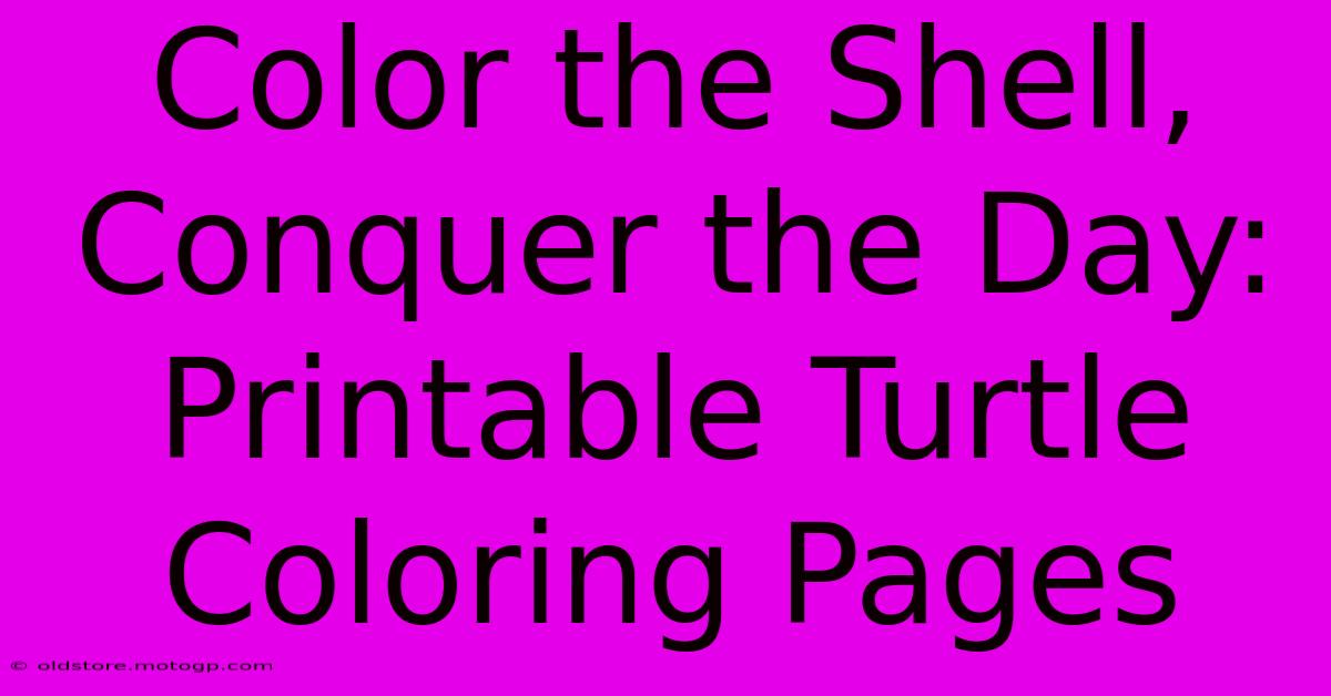 Color The Shell, Conquer The Day: Printable Turtle Coloring Pages