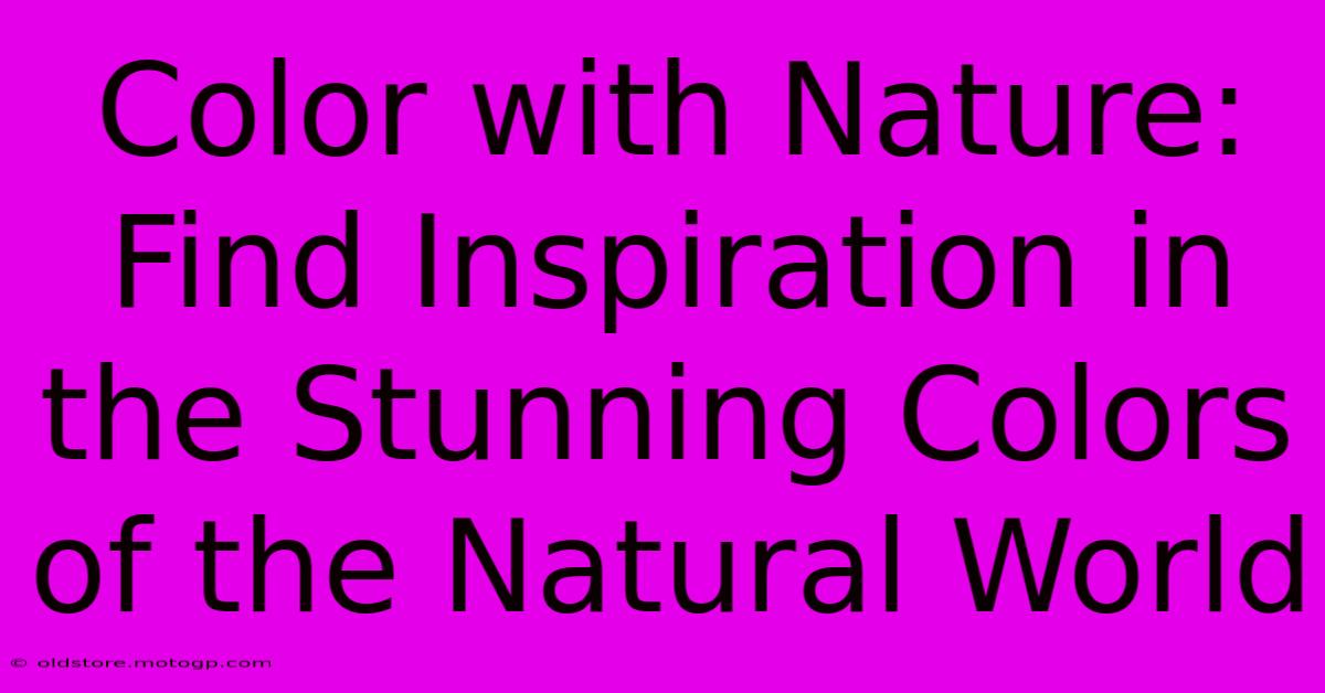 Color With Nature: Find Inspiration In The Stunning Colors Of The Natural World